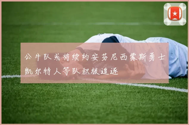 公牛队或将续约安芬尼西蒙斯勇士凯尔特人等队积极追逐